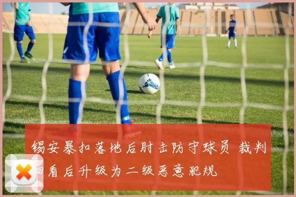 锡安暴扣落地后肘击防守球员 裁判回看后升级为二级恶意犯规