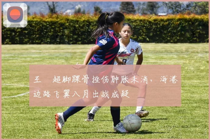 王燊超脚踝骨挫伤肿胀未消，海港边路飞翼八月出战成疑